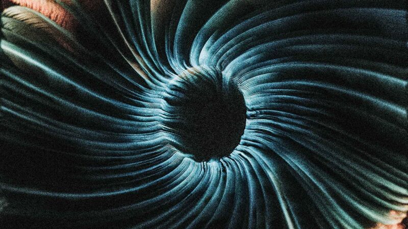 What is Belief: A Guide to How We Think | Steve Zafeiriou