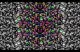 cute pixel art: generative artwork by Steve Zafeiriou