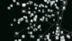 TouchDesigner-based digital visualization of a memory network with interconnected floating images and labeled nodes, representing synthetic memory reconstruction in a dark, immersive interface.