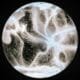 Spatial Existence, generative artwork by Steve Zafeiriou developed using Touchdesigner. Edition 4, phase i