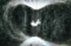 Spatial Existense